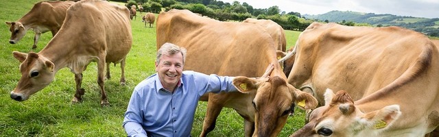 Turning cow burps into carbon credits