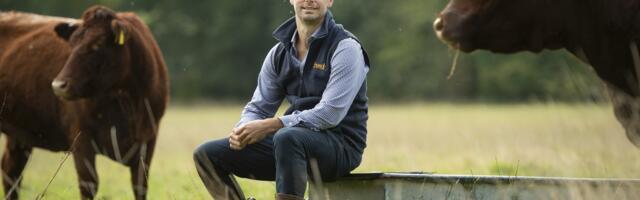 The cattle-trading app hoping to make a bull market for sustainability