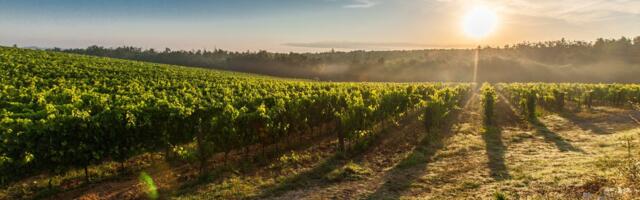 50 AgriTech startups applied for Nextcelerator accelerator