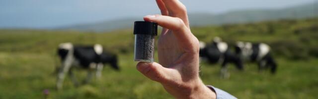 The 36 most promising impact startups in Europe (according to investors) 