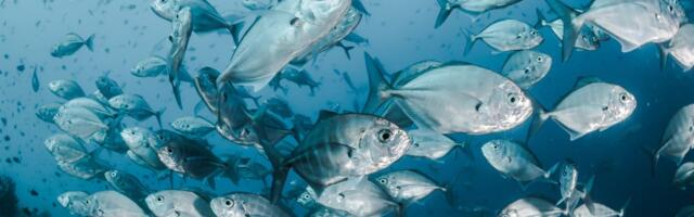 Biotic gets €2 million injection for biodegradable plastic materials