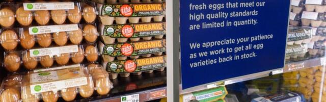 High egg prices weren’t Joe Biden’s fault. They’re not Donald Trump’s either, but they’re his problem now