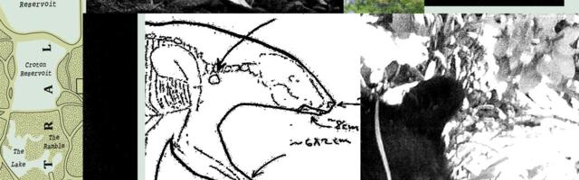 New Records Reveal the Mess RFK Jr. Left When He Dumped a Dead Bear in Central Park