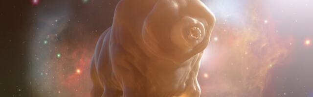Scientists Finally Found Something Tardigrades Can’t Survive