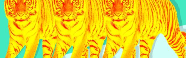 Tiger Global Investor Relations Staff Depart After Fundraising Challenges