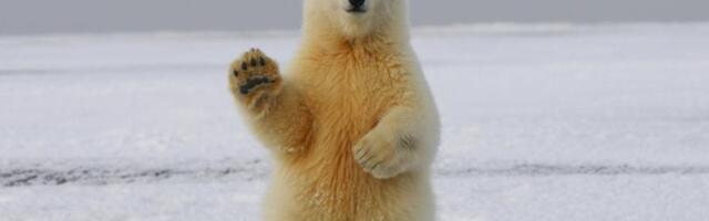 Downside risk remains as bitcoin nears record-tying six-month losing streak