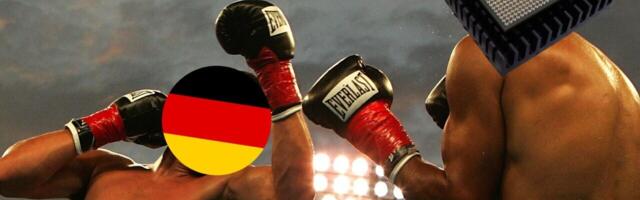 Germany blocking sales of its chip companies is like putting a plaster on a decapitation