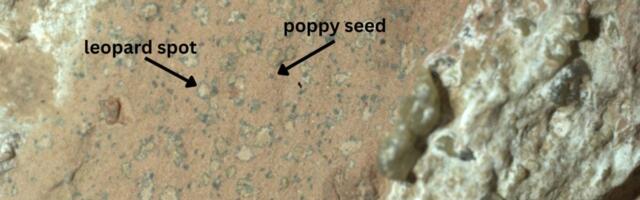 Perseverance Rover Finds Potential Sign of Ancient Life in Martian Rock