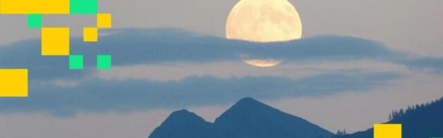 MoonPay introduces Ledger-secured AI crypto agents to address wallet key risks