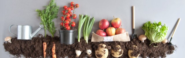 Singapore’s Agri-FoodTech firm DiMuto raises $2.35 million in Series A funding