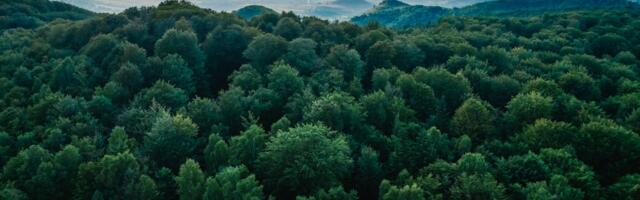 Carbon data firm Sylvera hires ex-Dropbox exec as COO