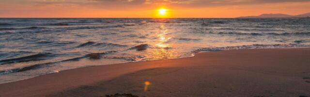 LLMs: Could language translation model some AI Alignment?