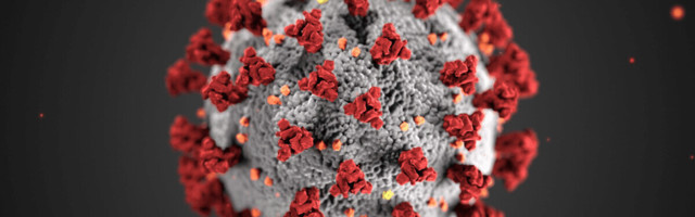 Researchers use AI to determine which animal diseases will infect humans next