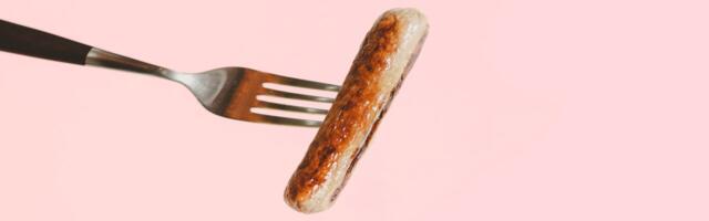 Meatable is raising the steaks with faster manufacturing, culling the time is takes to send a cell-grown piggy to market