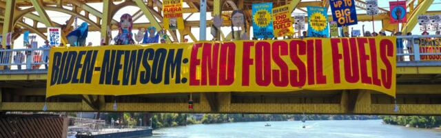 What happens if you force companies to reveal how much they contribute to climate change?