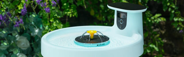 Birdfy Bath Pro is a voyeuristic take on smart bird feeders