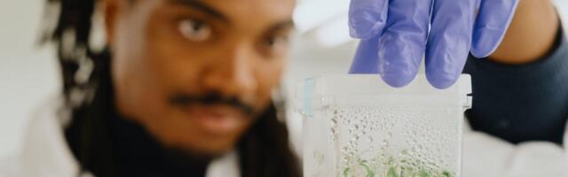 French startup Genomines raises $45m to ‘farm’ metal from plants