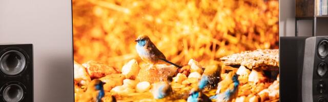 The LG G5 takes OLED performance to another level