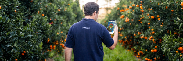 South African startup Aerobotics raises $17M to scale its AI-for-agriculture platform