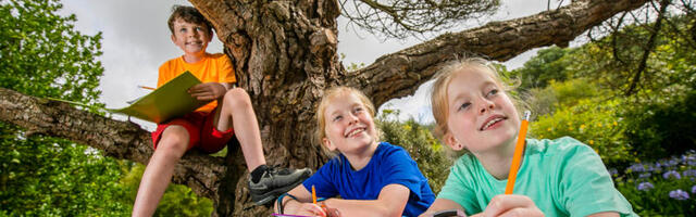 Entries Now Open for the Primary Science Fair 2022