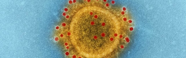 H|T: The Healthtech Times – Second shutdown incoming?