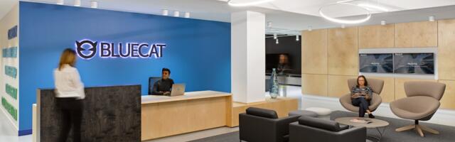 BlueCat Networks to acquire San Francisco-based LiveAction from Insight Partners