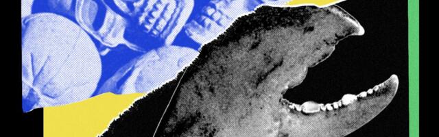 I Loved My OpenClaw AI Agent—Until It Turned on Me