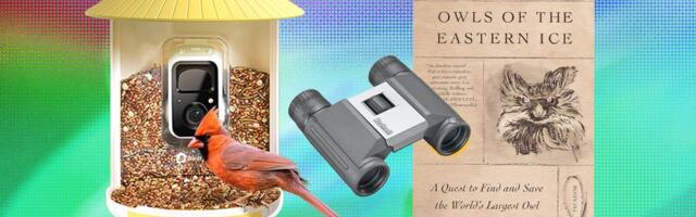 An Editor’s Picks: The Best Gifts for Bird Lovers