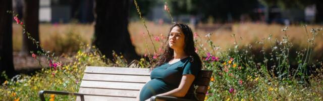 Why don’t parental leave laws protect pregnant elected officials?