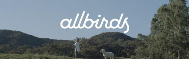 How the Silicon Valley sneaker that was once worth $4 billion ended up selling for $39M