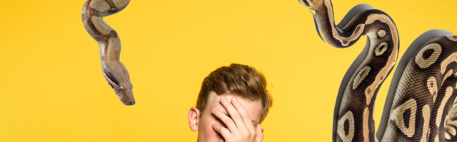 Python errors? You probably made one of these silly mistakes