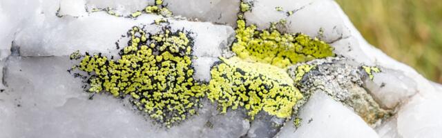 The world is overly reliant on one US-located mine for critical chipmaking material, but China is working to break the stranglehold — China investing over $14 million in synthetic quartz manufacturing to diversify away from US dependency