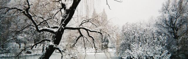 NYC snowfall sees millions of dollars traded on prediction markets