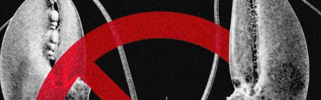 Meta and Other Tech Companies Ban OpenClaw Over Cybersecurity Concerns