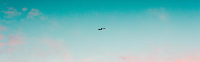 Stopping Cyberattacks Before They Start: The Zero Trust Approach