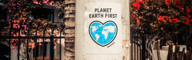 Startups and Sustainability: trends and insights as told by European investors