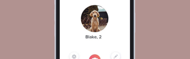 Loyal as a dog — study shows dogs signal commitment in men’s dating profiles