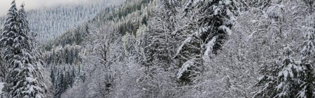 Expect Record U.S. Holiday Travel This Year