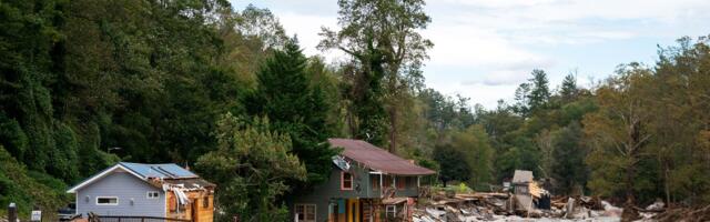 Hurricane Helene Couldn’t Stop Birders From Using eBird