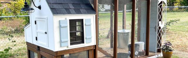 Bird Flu Spreads to Pet Birds in Vermont