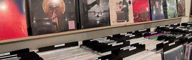 Vinyl collecting: how to build and preserve a record collection