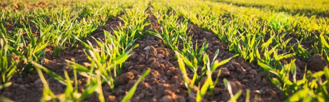 Terramera looking to build $730 million centre focused on fighting climate change through Agtech