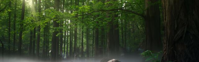 Why environmental reporting metrics will help data centre businesses