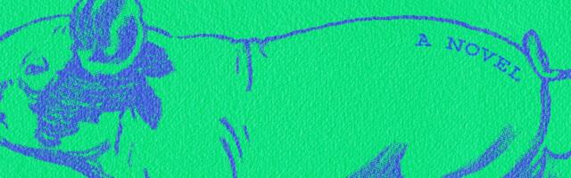 Kiley Reid’s Come and Get It is a witty, overstuffed campus satire