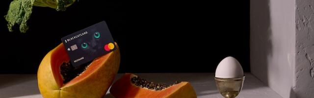 European fintech Blackcat launches multi-wallet app combining euro and crypto accounts, completing rebrand