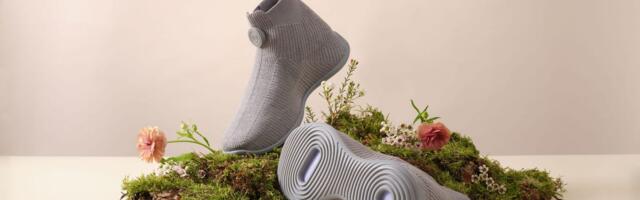 The rise and fall of Allbirds: The sneaker company, once valued at $4 billion, just sold for $39 million