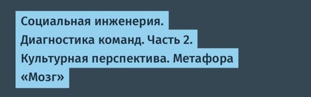 Социальная инженерия. Диагностика команд. Часть 2. Культурная перспектива. Метафора «Мозг»