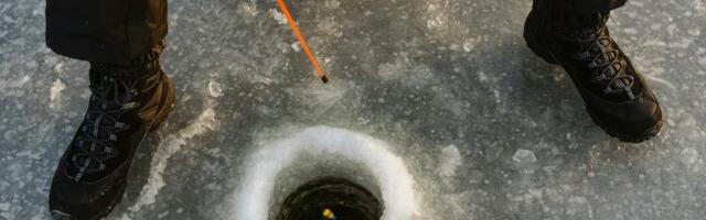 Clicks on phishing links tripled in 2024