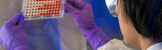 What research reveals about people who feel physically drained after checking their phone for twenty minutes but can hike for hours without fatigue