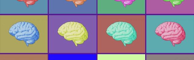 European MRI study provides experimental evidence indicating our brains are quantum
